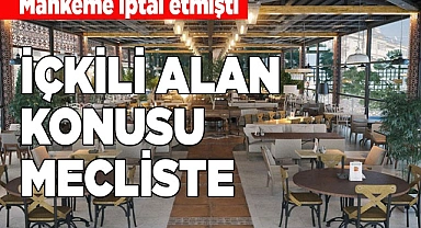 İÇKİLİ ALAN KONUSU MECLİSTE
