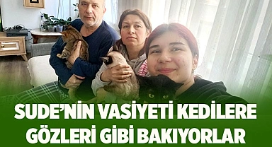 Sude’nin vasiyeti kedilere gözleri gibi bakıyorlar