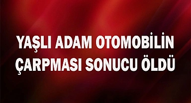 Yaşlı adam otomobilin çarpması sonucu öldü