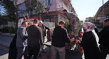 Denizli Büyükşehir’den zeytin fidanı seferberliği