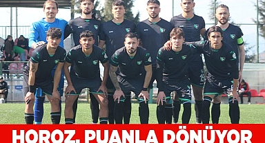 HOROZ, PUANLA DÖNÜYOR