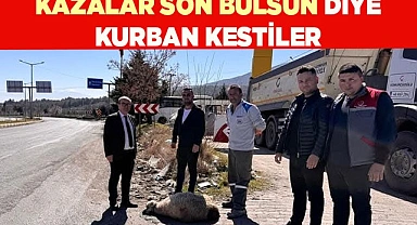 KAZALAR SON BULSUN DİYE KURBAN KESTİLER