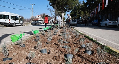 PAMUKKALE BELEDİYESİ GÖZLER’E 25 BİN 104 LAVANTA DİKTİ