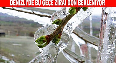 Denizli’de bu gece zirai don bekleniyor