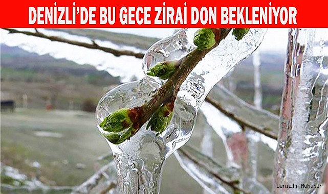 Denizli’de bu gece zirai don bekleniyor