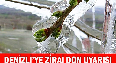 Denizli’ye zirai don uyarısı