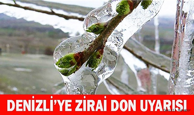 Denizli’ye zirai don uyarısı