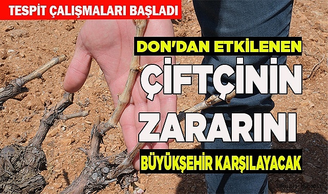 Don'dan etkilenen çiftçinin zararını Büyükşehir karşılayacak