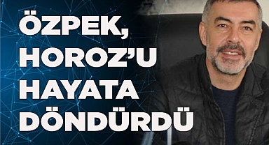 HOROZ ÖZPEK İLE HAYATA DÖNDÜ