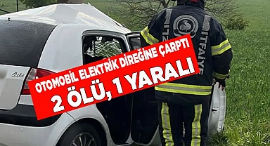 Otomobil elektrik direğine çarptı 2 ölü, 1 yaralı