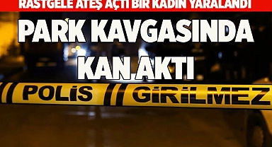 PARK KAVGASINDA KAN AKTI