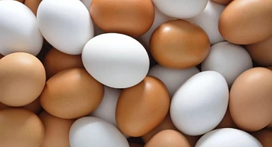 Yumurta fiyatları düşüşe geçti