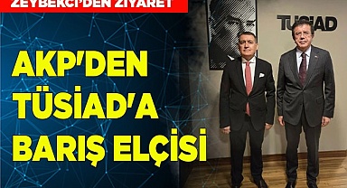 AKP'den TÜSİAD'a barış elçisi