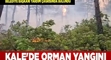 Kale'de orman yangını 