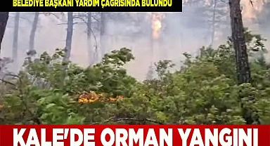 Kale'de orman yangını 