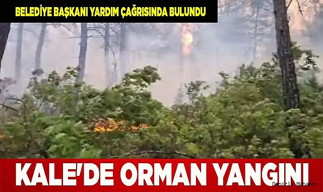 Kale'de orman yangını 