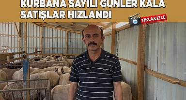 KURBANA SAYILI GÜNLER KALA SATIŞLAR HIZLANDI