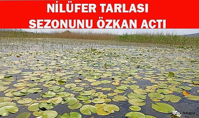 NİLÜFER TARLASI SEZONUNU ÖZKAN AÇTI