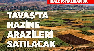 TAVAS’TA HAZİNE ARAZİLERİ SATILACAK