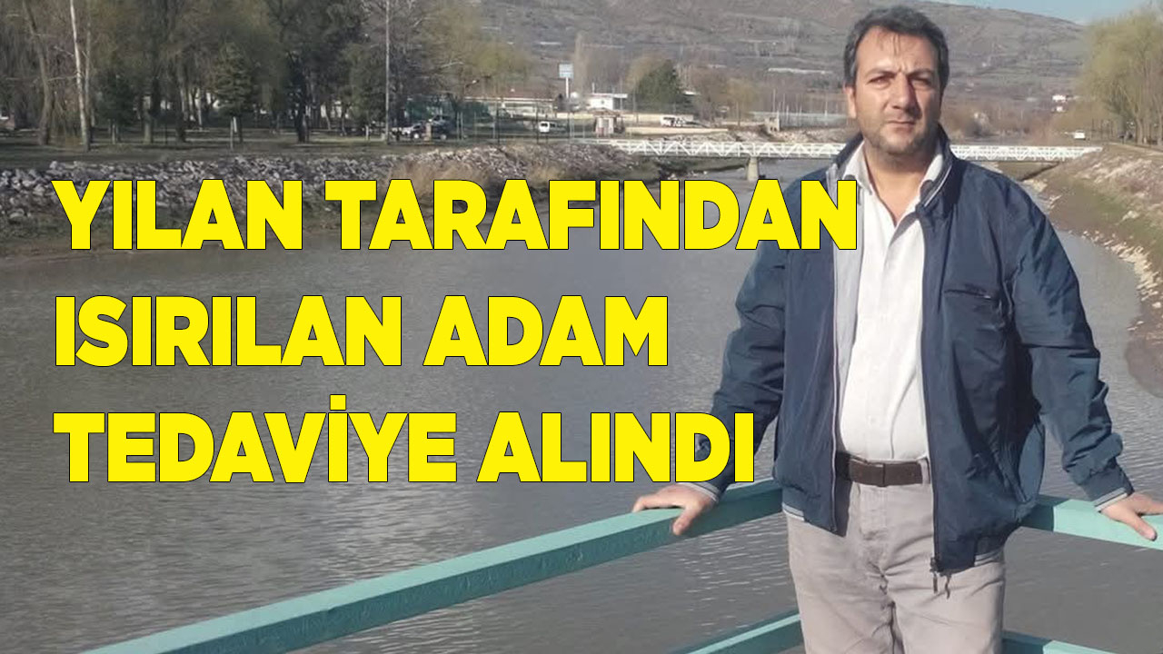 Yılan tarafından ısırılan adam hastaneye kaldırıldı