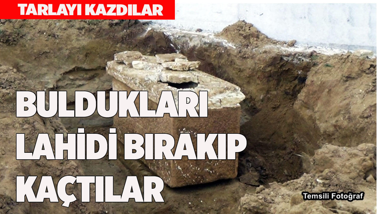 Tarlayı kazarak buldukları lahdi bırakıp kaçtılar