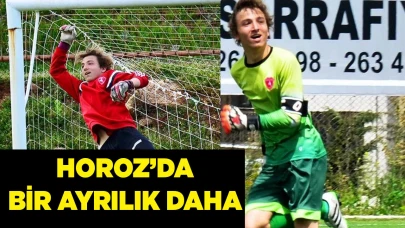 HOROZ’DA BİR AYRILIK DAHA