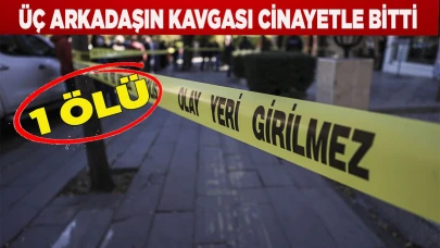 Üç arkadaşın kavgası cinayetle bitti