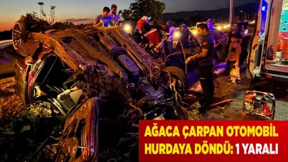 Ağaca çarpan otomobil hurdaya döndü: 1 yaralı