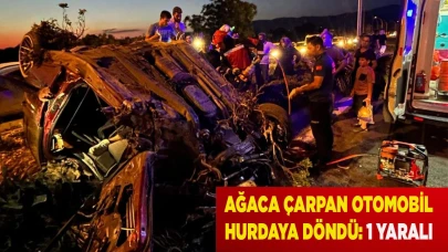 Ağaca çarpan otomobil hurdaya döndü: 1 yaralı