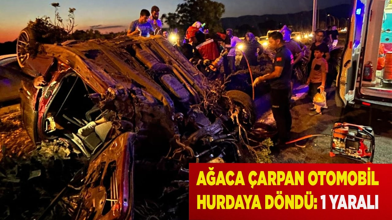 Ağaca çarpan otomobil hurdaya döndü: 1 yaralı