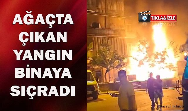 Ağaçta çıkan yangın binaya sıçradı