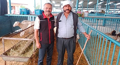 Başkanı Hatipoğlu “Sağlığınız için kurbanlığınızı Hayvan Pazar’ından alın”