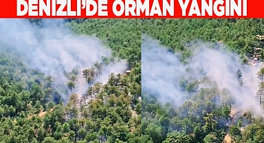 Denizli’de orman yangını