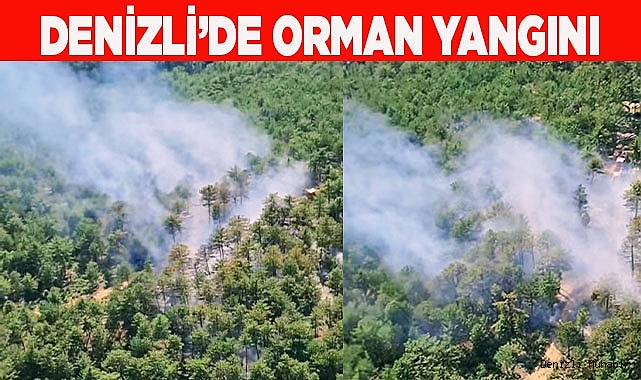 Denizli’de orman yangını