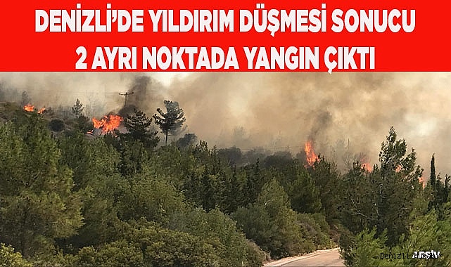 Denizli’de yıldırım düşmesi sonucu 2 ayrı noktada yangın çıktı