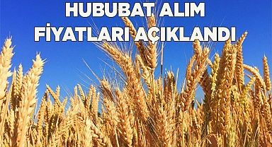 HUBUBAT ALIM FİYATLARI AÇIKLANDI