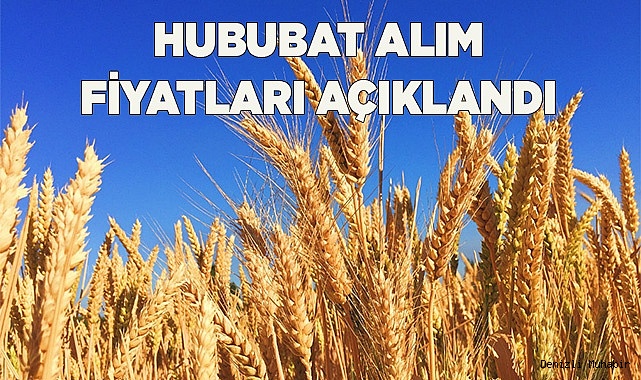 HUBUBAT ALIM FİYATLARI AÇIKLANDI