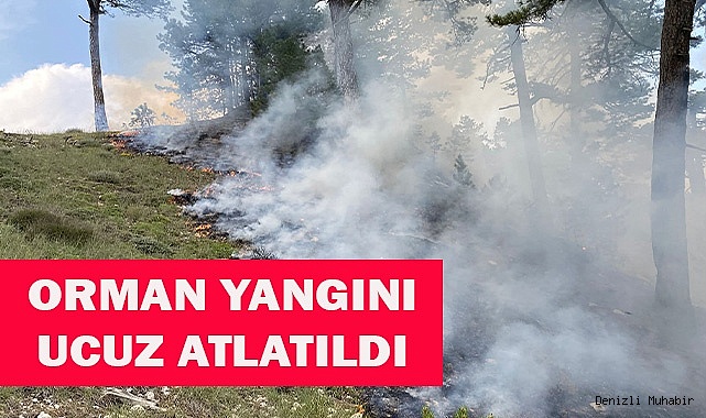 Orman yangını ucuz atlatıldı