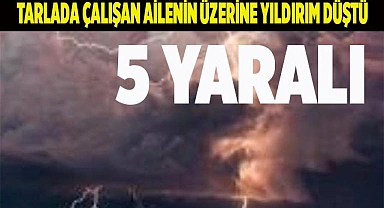 Tarlada çalışan ailenin üzerine yıldırım düştü: 5 yaralı