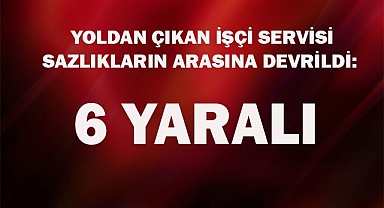 Yoldan çıkan işçi servisi sazlıkların arasına devrildi: 6 yaralı