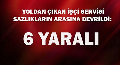 Yoldan çıkan işçi servisi sazlıkların arasına devrildi: 6 yaralı