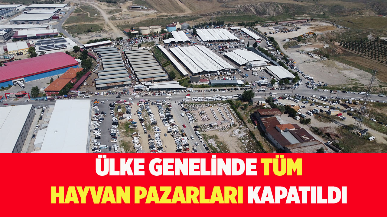 Ülke genelinde tüm hayvan pazarları kapatıldı