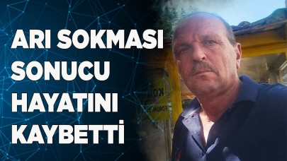 Arı sokması sonucu hayatını kaybetti