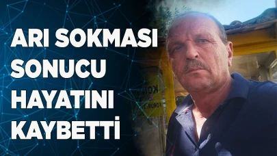 Arı sokması sonucu hayatını kaybetti