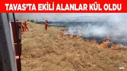 Tavas’ta ekili alanlar kül oldu