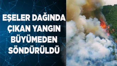 Eşeler Dağında çıkan yangın büyümeden söndürüldü
