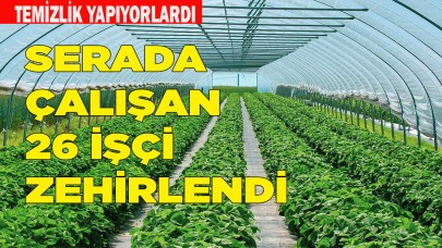 Serada çalışan 26 işçi zehirlendi