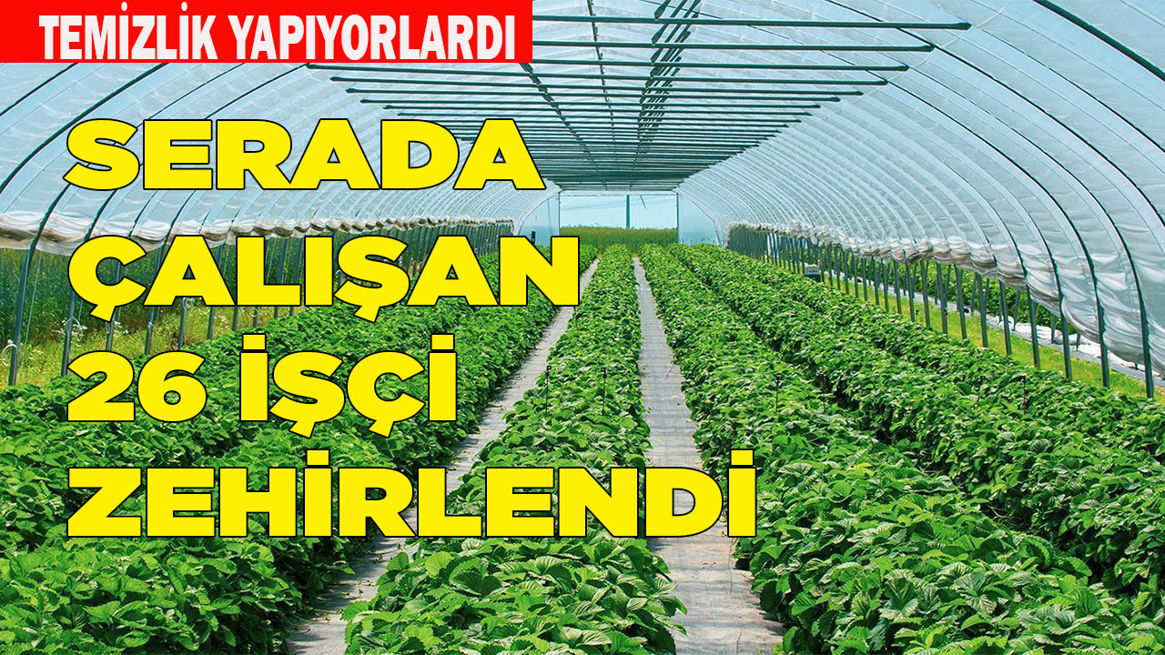 Serada çalışan 26 işçi zehirlendi