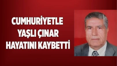 Cumhuriyetle yaşlı çınar hayatını kaybetti