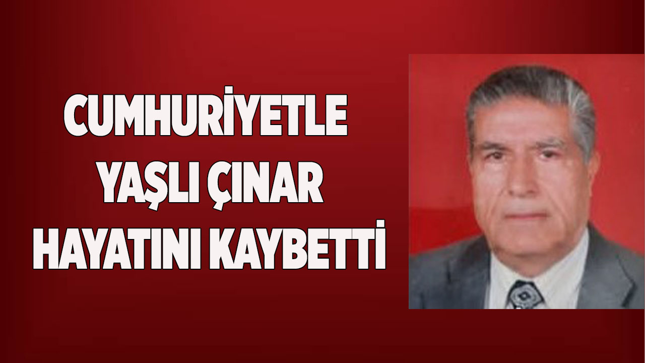 Cumhuriyetle yaşlı çınar hayatını kaybetti